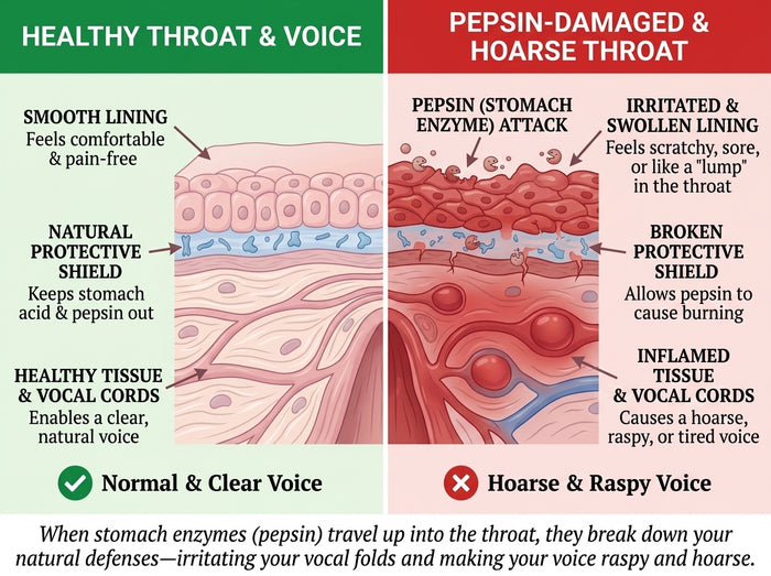 Pepsin vapor rising from stomach to larynx during sleep
