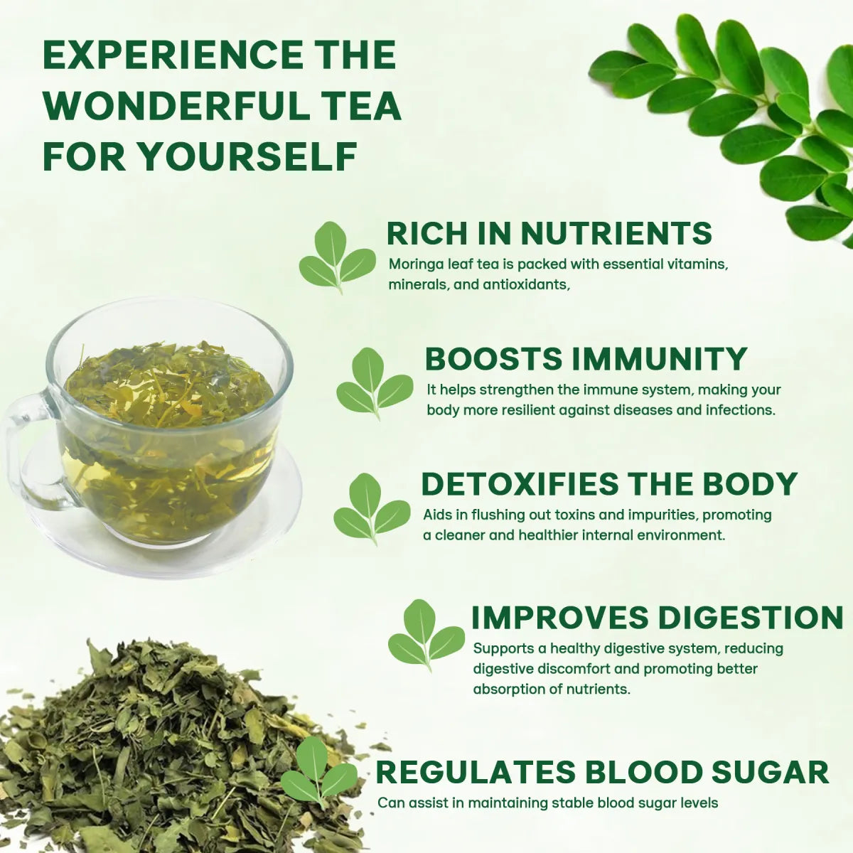 Moringa Leaf Tea (20 Servings)