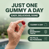 Kombucha Gummies
