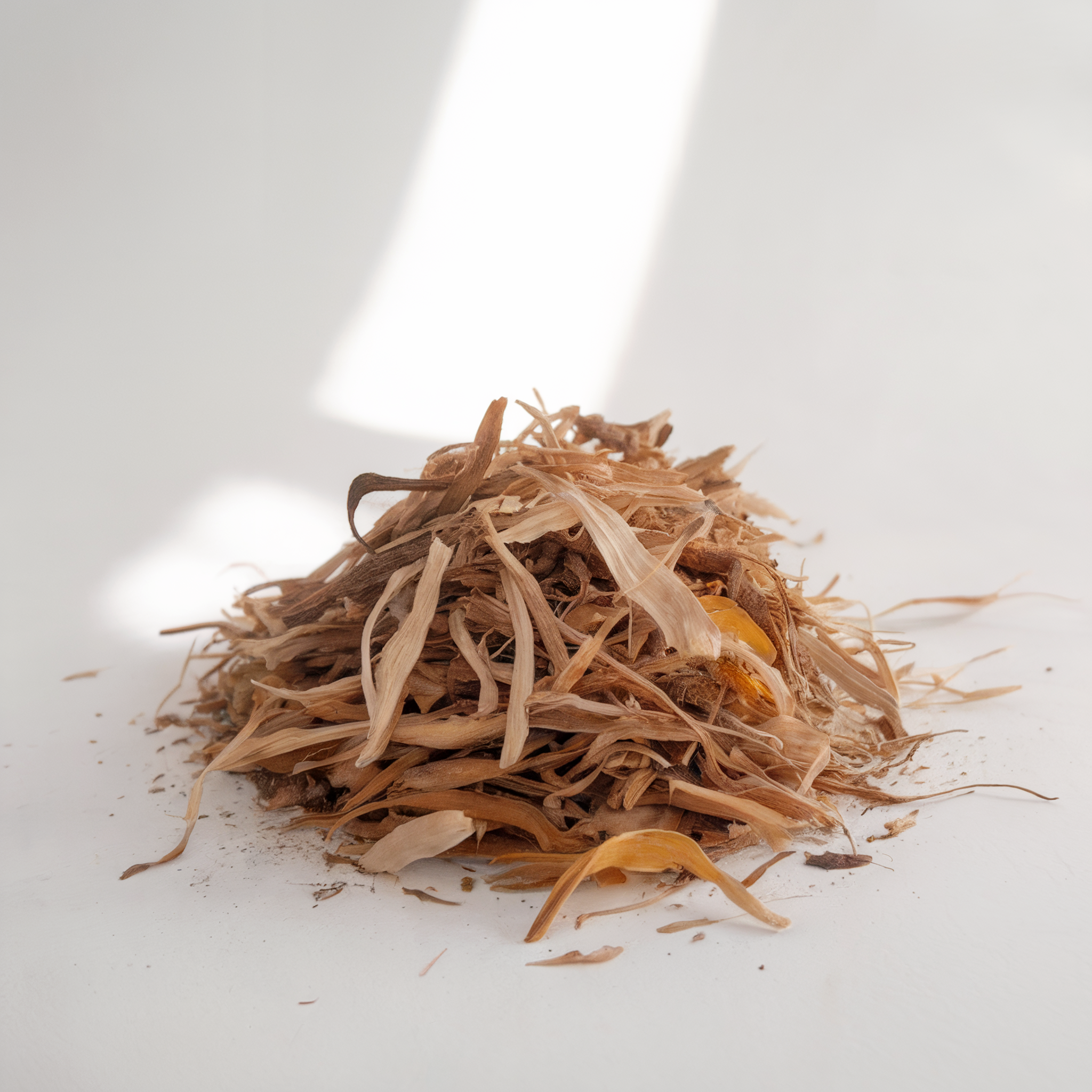 Stillingia Root